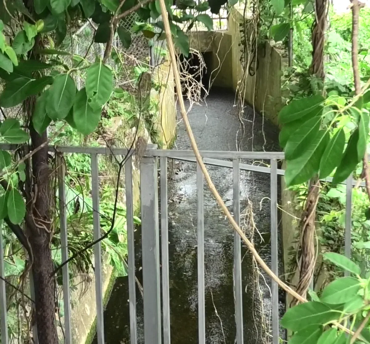 PFAS 含有水の現地処理設備